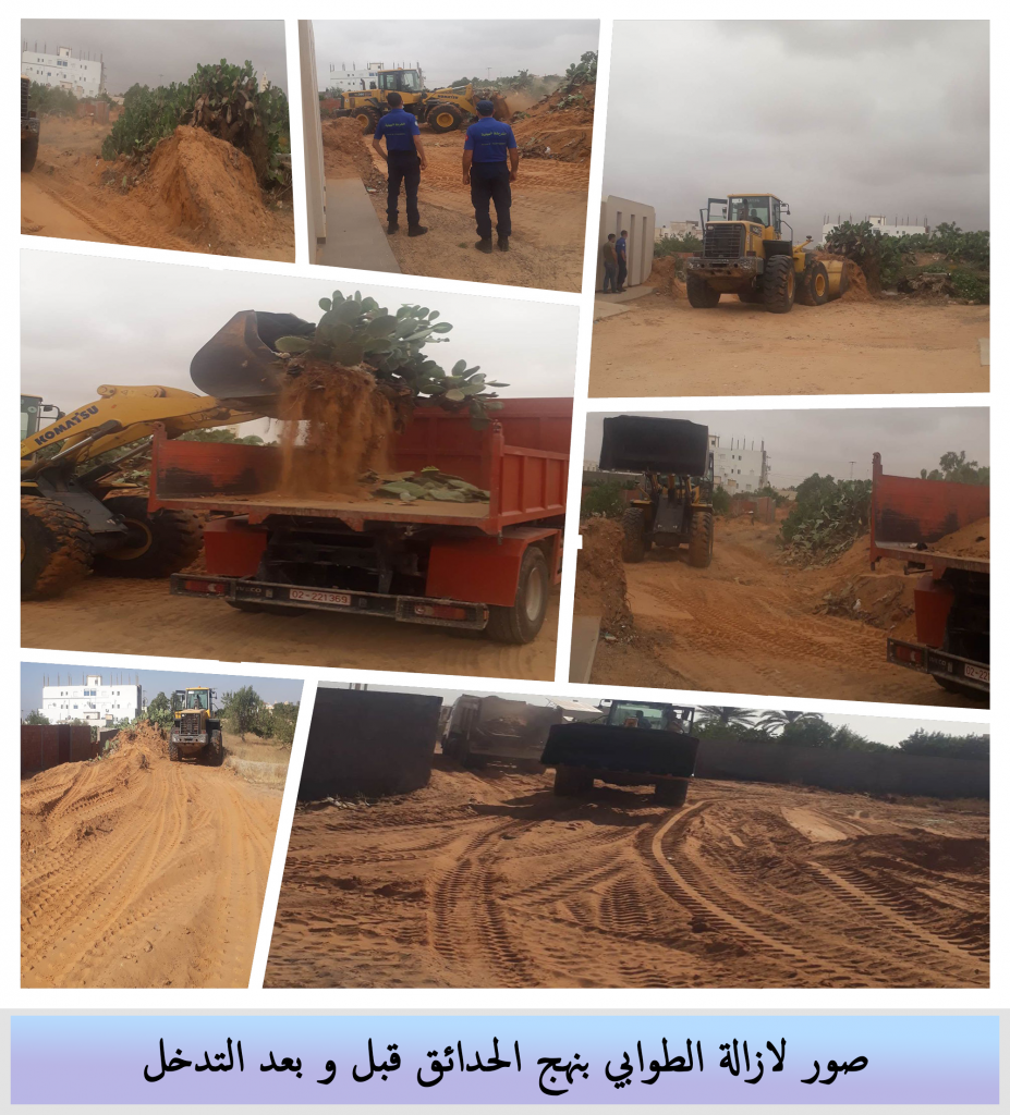 تنفيذ برنامج خاص بإزالة الطوابي